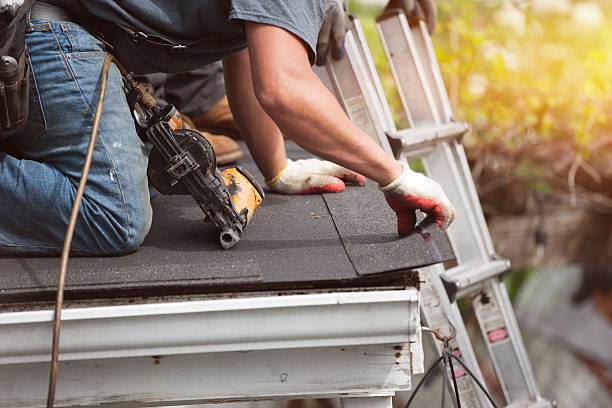 Best Roof Repair Services  in Westland, MI