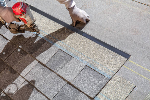 Best Flat Roof Repair Services  in Westland, MI