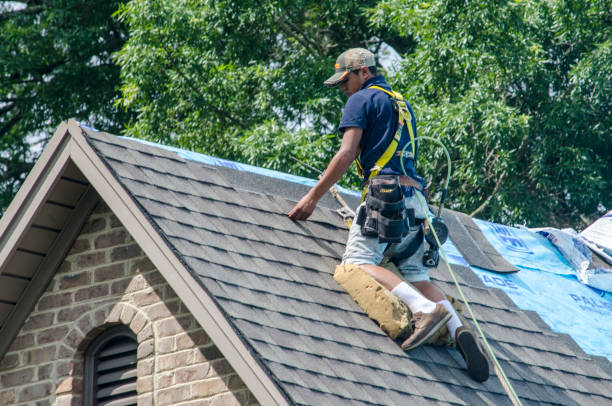 Best New Roof Installation  in Westland, MI