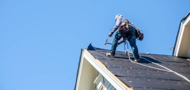 Best Storm Damage Roof Repair  in Westland, MI